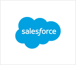 salesforce integration 250